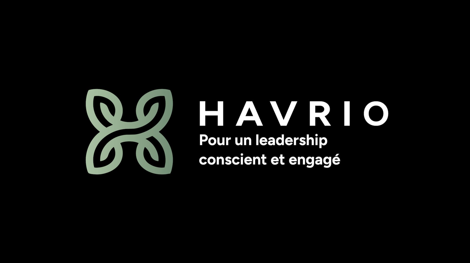 Havrio, image 3