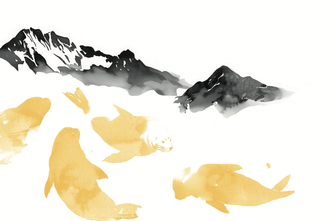 Student Portfolio, Kativik Ilisarnilirinia, image 2