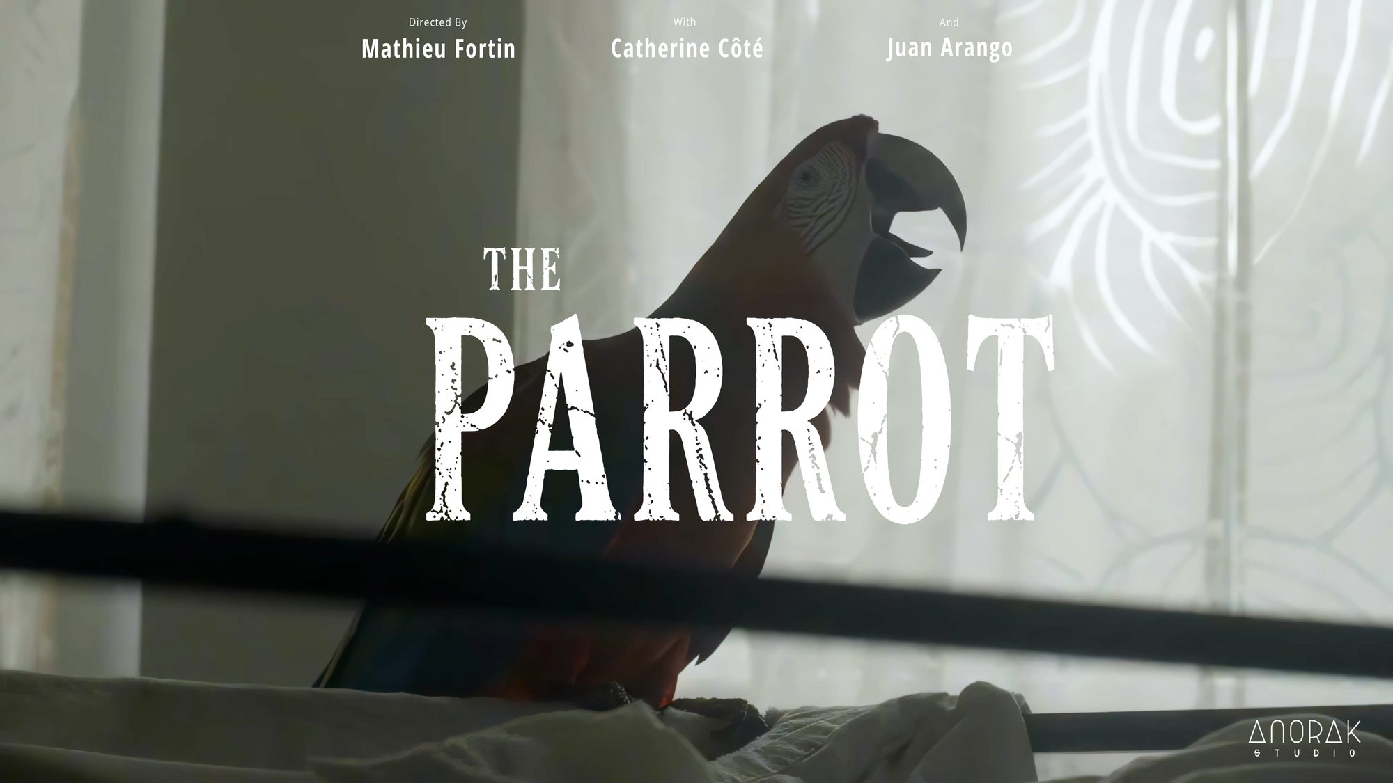 The Parrot, image 3