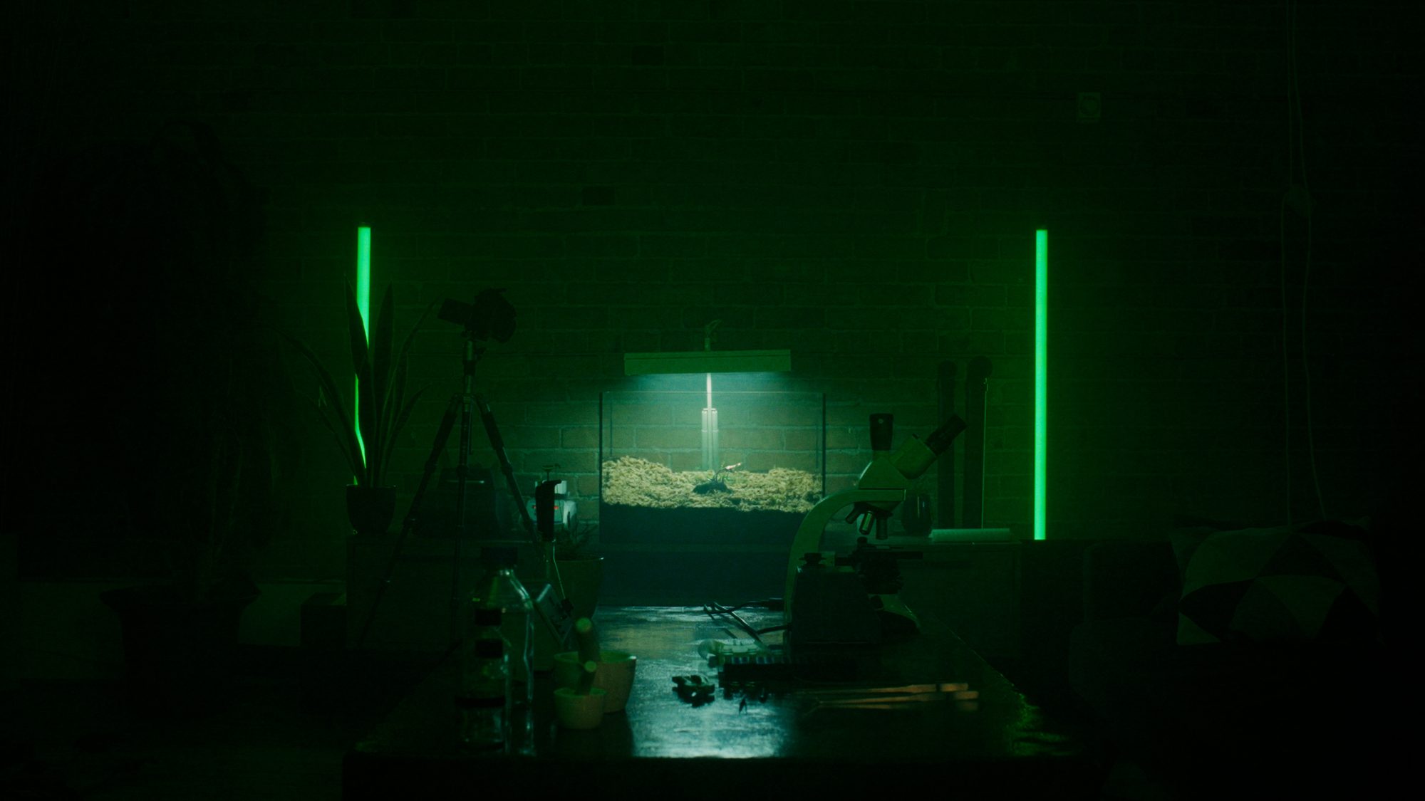 The Plant, image 9